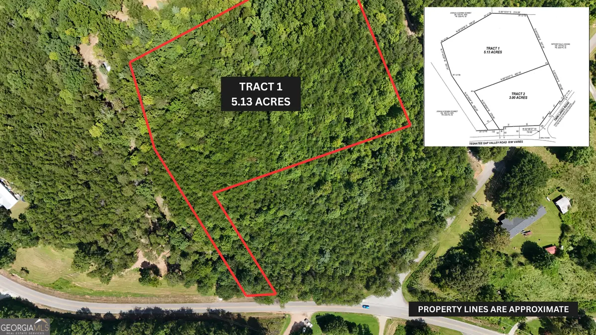 TRACT 1 Tesnatee Gap Valley Road, Cleveland, GA 30528 - #1