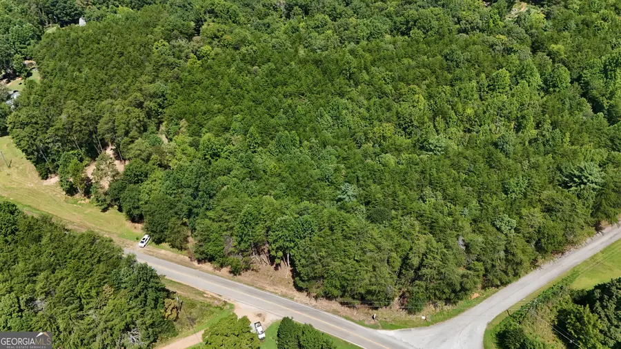 TRACT 1 Tesnatee Gap Valley Road, Cleveland, GA 30528 - #2