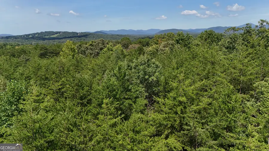 TRACT 1 Tesnatee Gap Valley Road, Cleveland, GA 30528 - #3