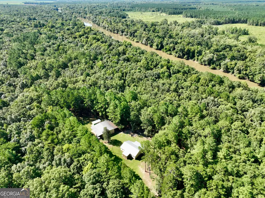 239 Coleman Landing Road, Hawkinsville, GA 31036 - #2
