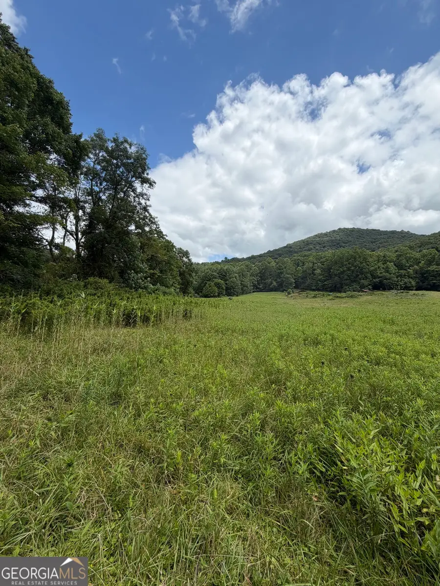 0 Baker Creek Road, Suches, GA 30572 - #2