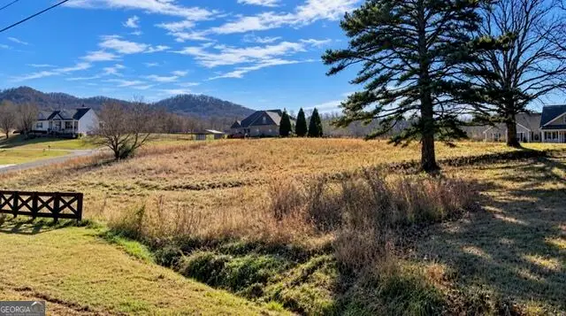 LOT 20 Gumlog Road, Blairsville, GA 30512 - #2