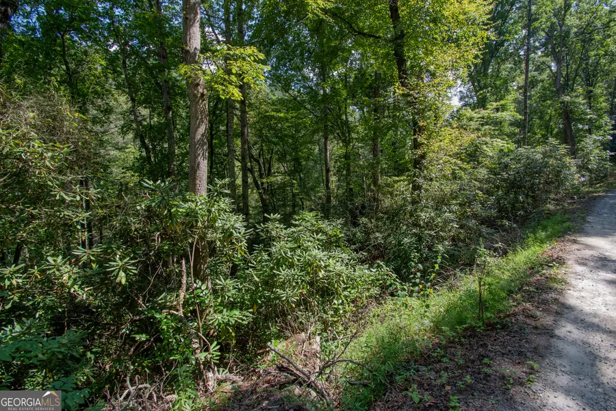 LOT 8 Snowbird Woods Road, Robbinsville, NC 28771 - #2