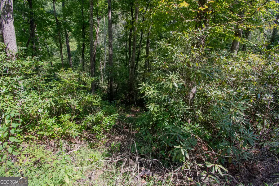 LOT 8 Snowbird Woods Road, Robbinsville, NC 28771 - #3