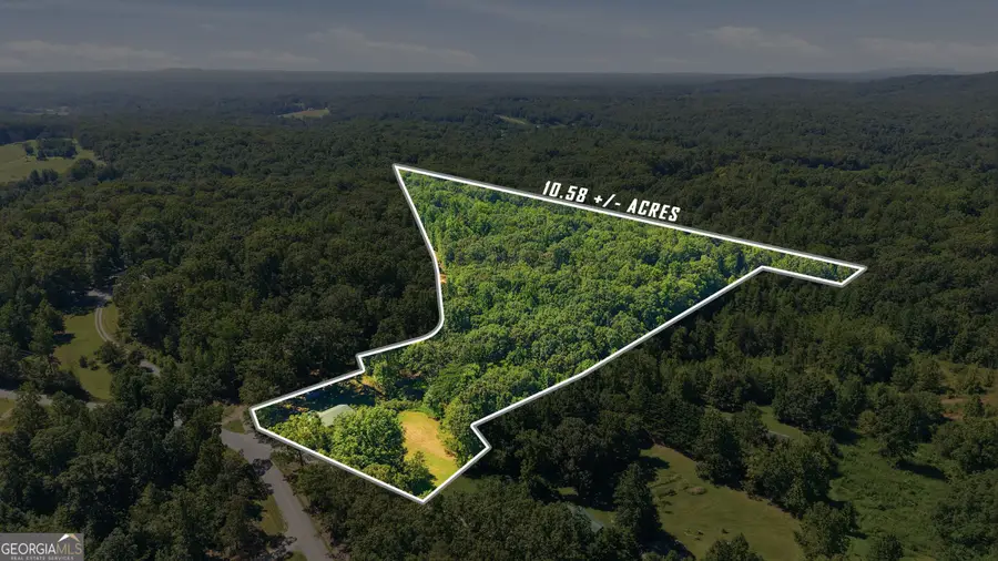 106 Goss Road, Clarkesville, GA 30523 - #2