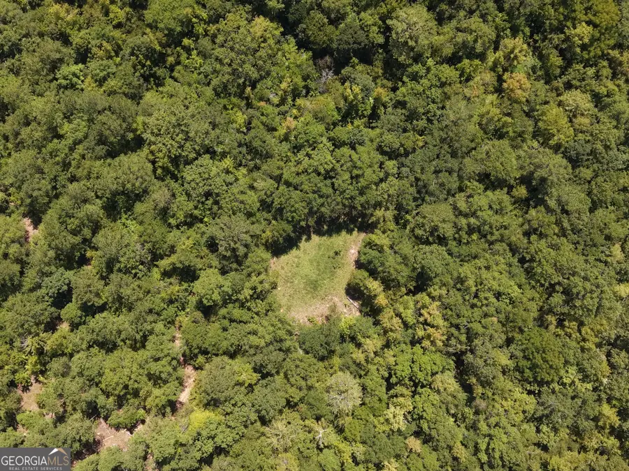2055 W Bypass Road Sw, Milledgeville, GA 31061 - #3