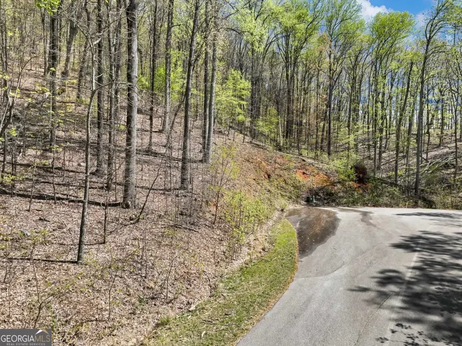 0 Stone Cliff Trace, Cleveland, GA 30528 - #2