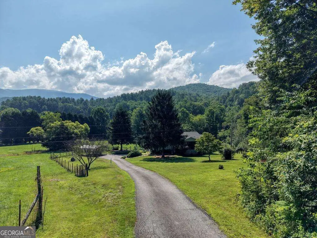 142 Mosley Lane, Blairsville, GA 30512 - #1