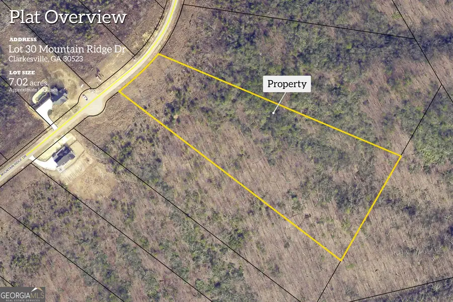 LOT 30 Mountain Ridge Drive, Clarkesville, GA 30523 - #2
