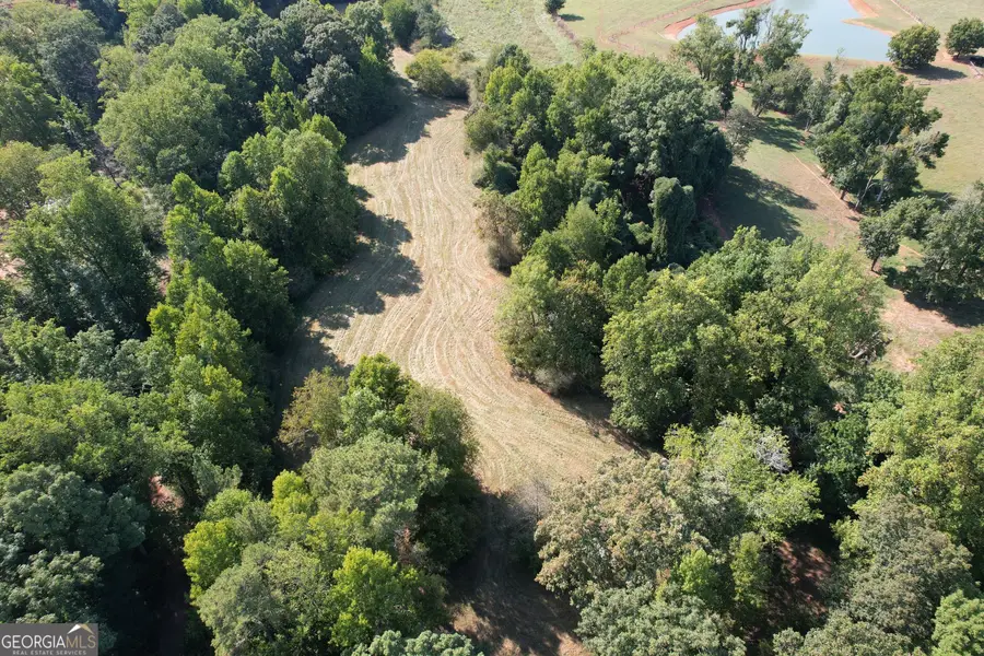 8126 Skitts Mountain Road, Lula, GA 30554 - #2