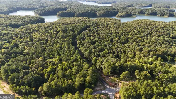 0 LOT 29 Lakeside Drive, Elberton, GA 30635