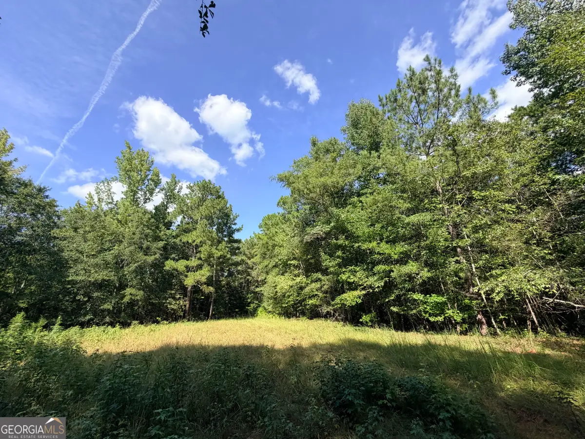 2 Cunningham Road, Greensboro, GA 30642 - #1