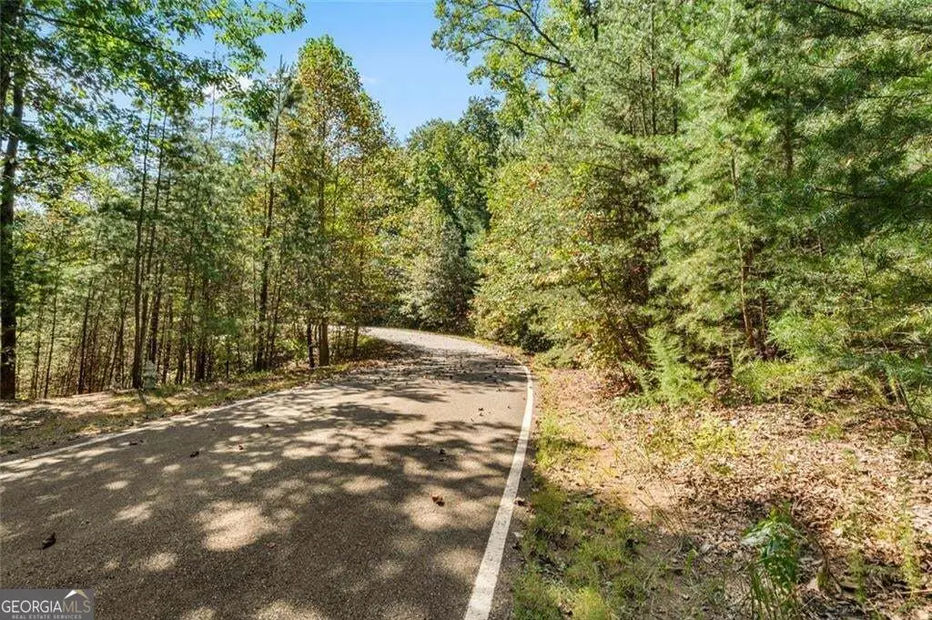 288 Blazingstar Trail, Big Canoe, GA 30143 - #1