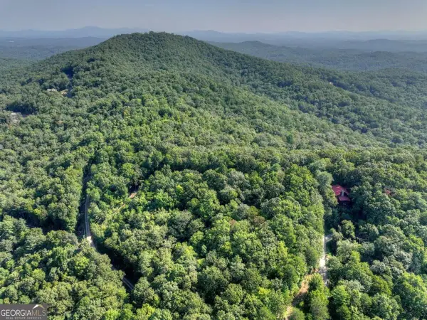 3.6 AC Prince Mountain Road, Cherry Log, GA 30522