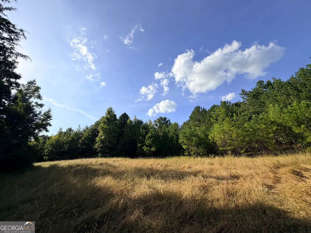 3 Cunningham Road, Greensboro, GA 30642 - #1