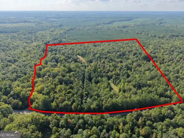 3 Cunningham Road, Greensboro, GA 30642 - #2