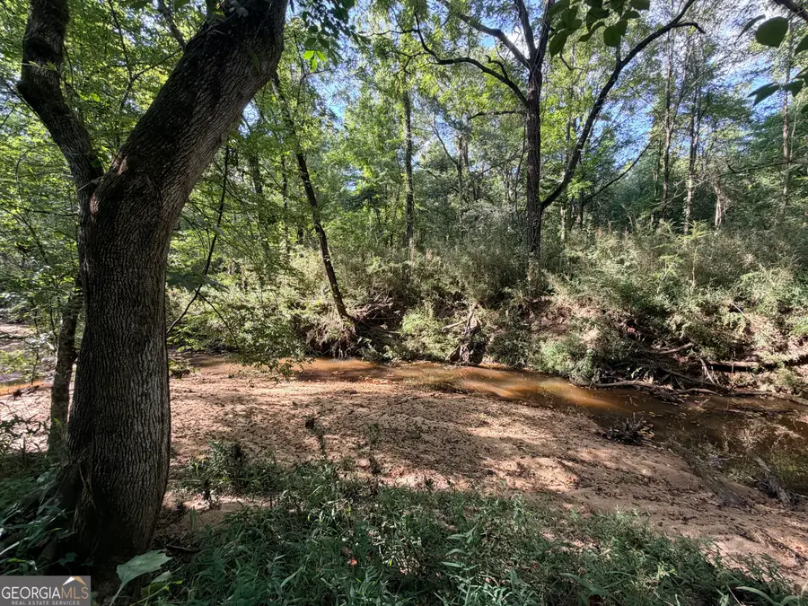 3 Cunningham Road, Greensboro, GA 30642 - #3