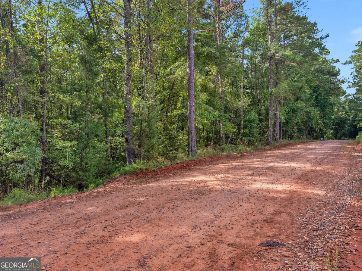 0 Montpelier Springs Road, Forsyth, GA 31029 - #1