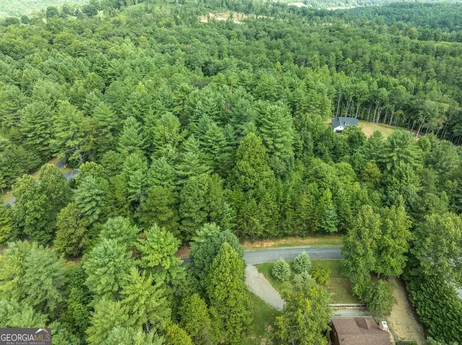 LOT 26 Young Harris, Young Harris, GA 30582 - #2