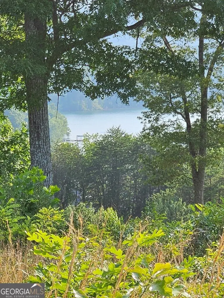 0 Big Sky Drive, Hiawassee, GA 30546 - #3