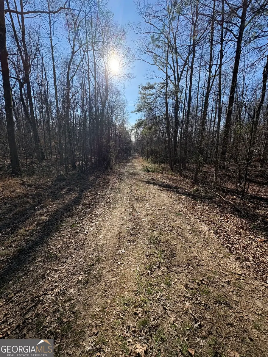 TRACT 6 Stonepile Road, Clarkesville, GA 30523 - #3