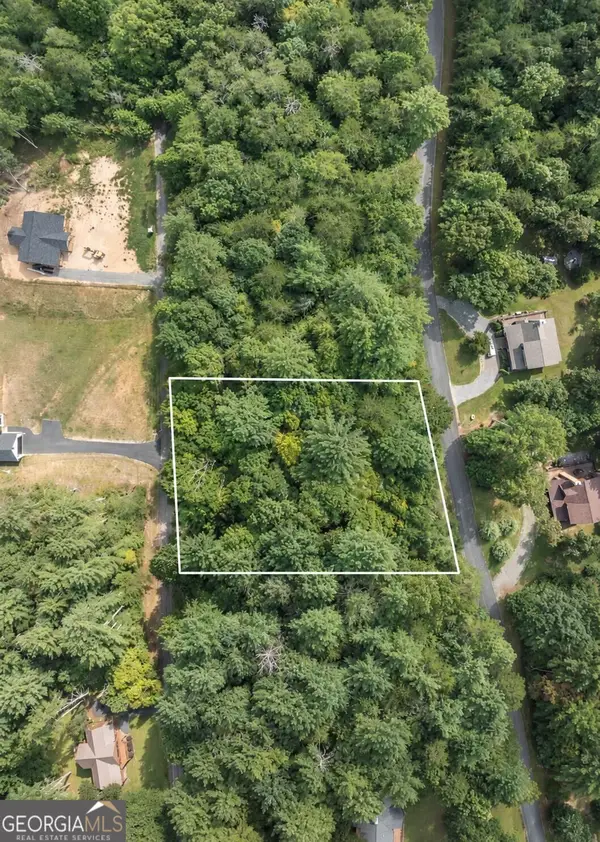 25 Brookhaven Drive, Young Harris, GA 30582