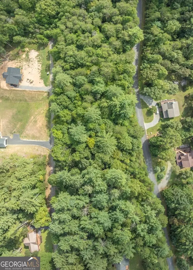 25 Brookhaven Drive, Young Harris, GA 30582 - #3