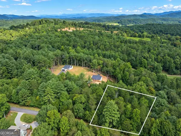 24 Brookhaven Drive, Young Harris, GA 30582