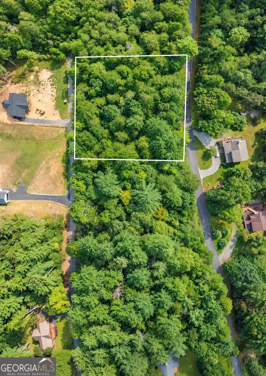24 Brookhaven Drive, Young Harris, GA 30582 - #2