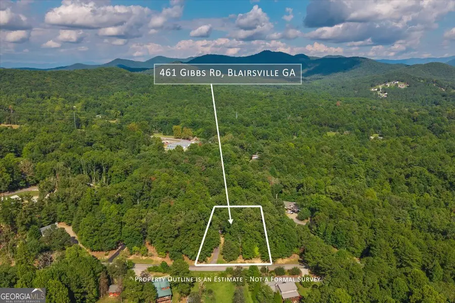 461 Gibbs Road, Blairsville, GA 30512 - #3