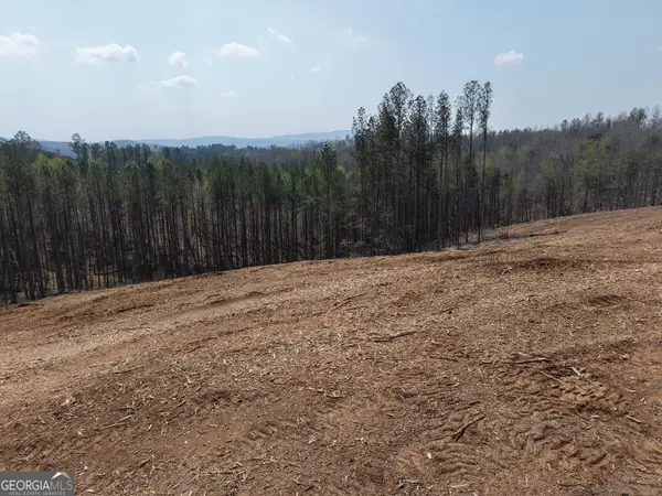 0 Young Loop #7206 PARCEL C, Fairmount, GA 30139