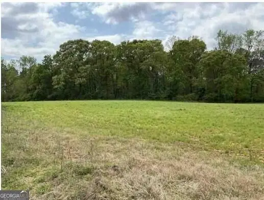 1325A Holland Drive, Byromville, GA 31007