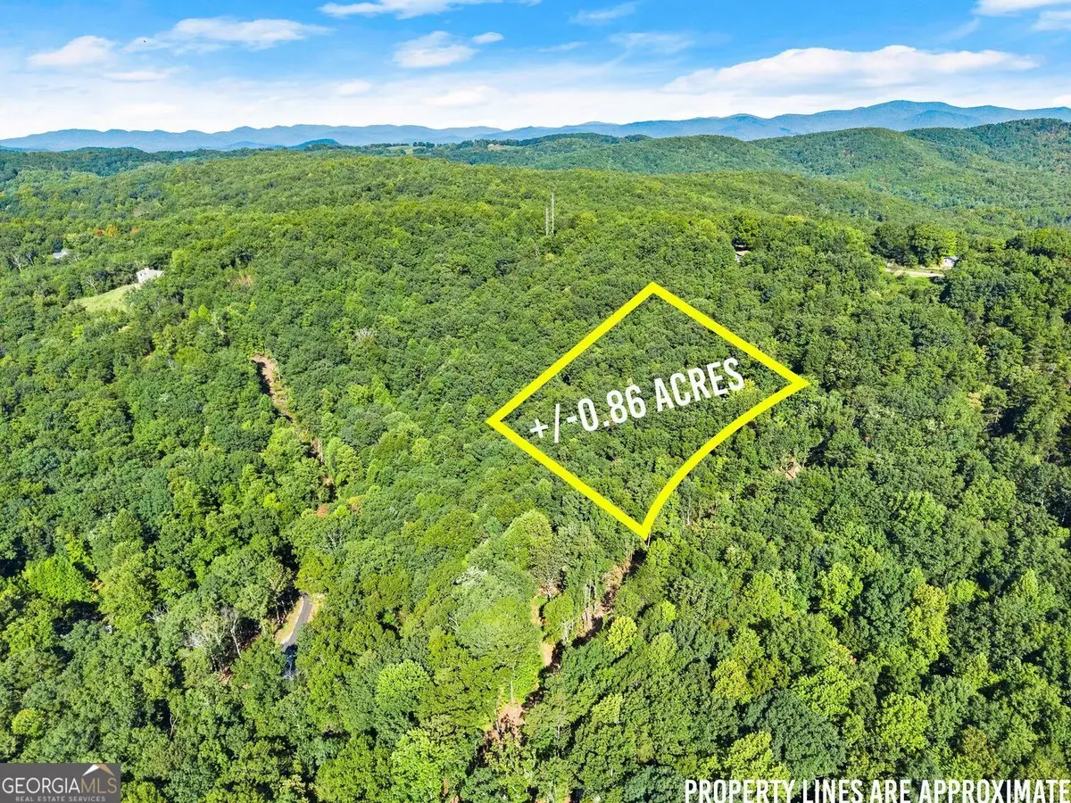375 Mountain Crest Drive, Clarkesville, GA 30523 - #1