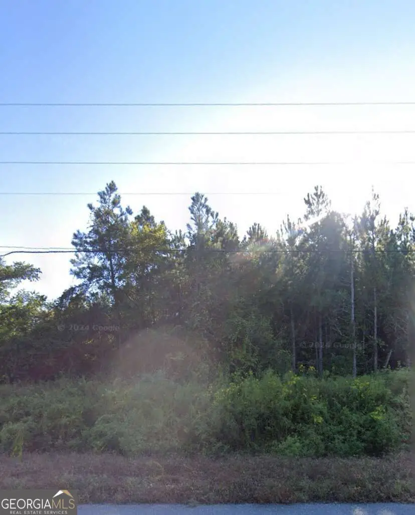 0 Willie Varnum Road, Dothan, AL 36301 - #2