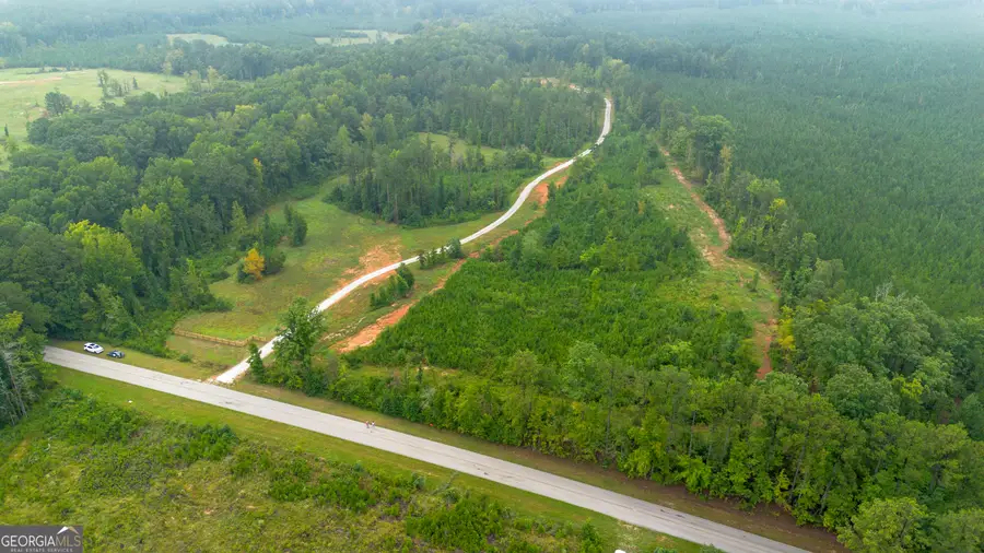 0 Lanier Rd (16 Acres), White Plains, GA 30678 - #3