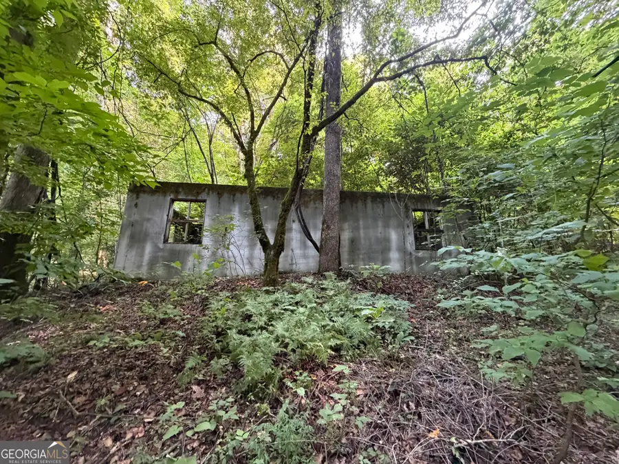 0 Tuts Mountain Road, Clayton, GA 30525 - #2