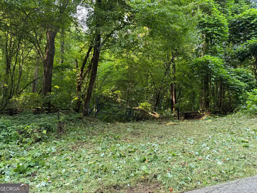 0 Tuts Mountain Road, Clayton, GA 30525 - #3