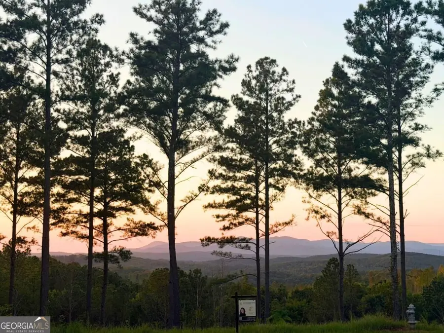 0 Lacey Springs Lane #64, Ellijay, GA 30540 - #2