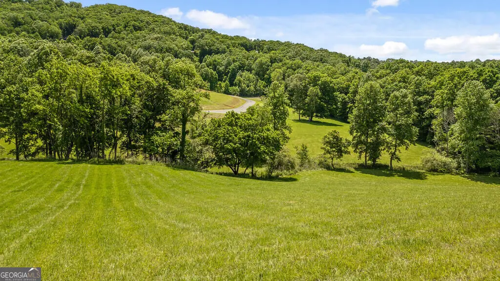 LOT 11 Squirrel Hunting Road, Morganton, GA 30560 - #1