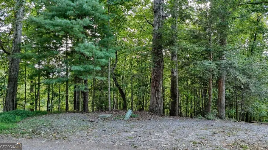 LOT 29 Harris Ridge Road, Young Harris, GA 30582 - #3