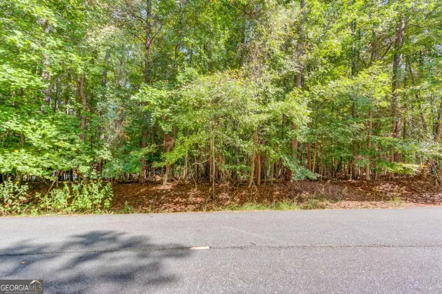 211 Buck Trail, Hoschton, GA 30548 - #3