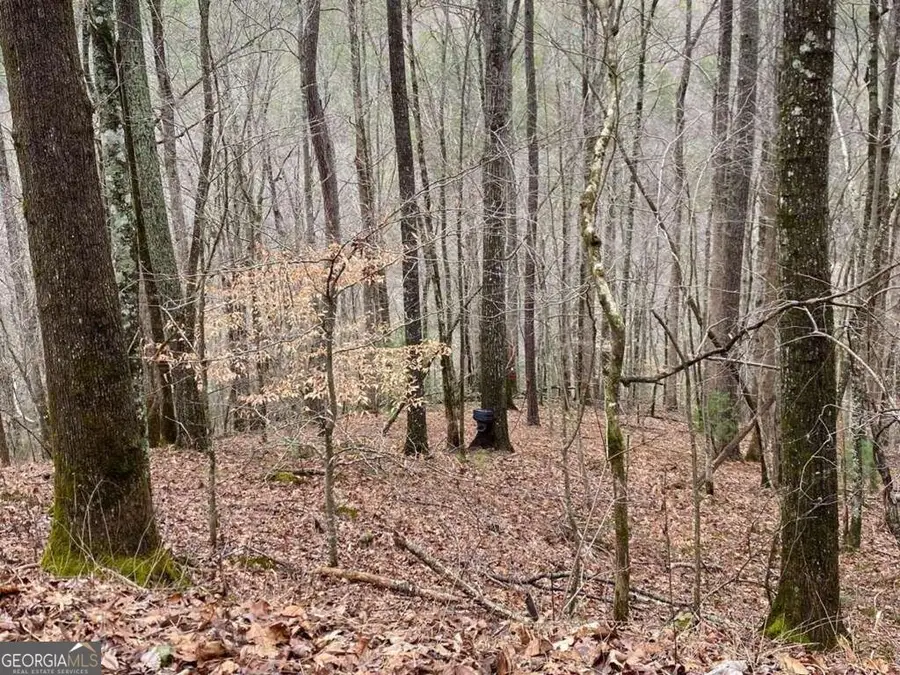 4AC Scenic Way #3833, Ellijay, GA 30540 - #2