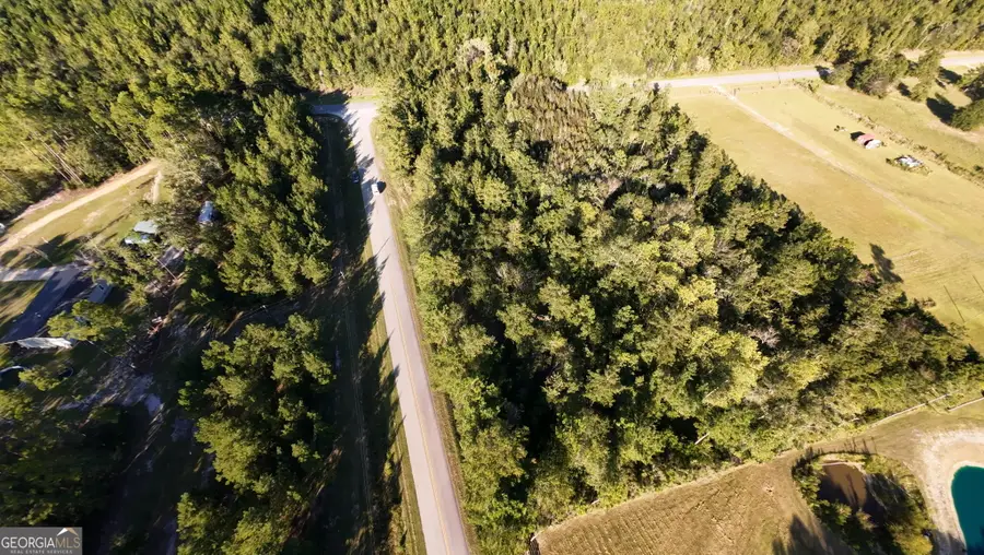 0 Old Scotland Towns Road, McRae-helena, GA 31055 - #3
