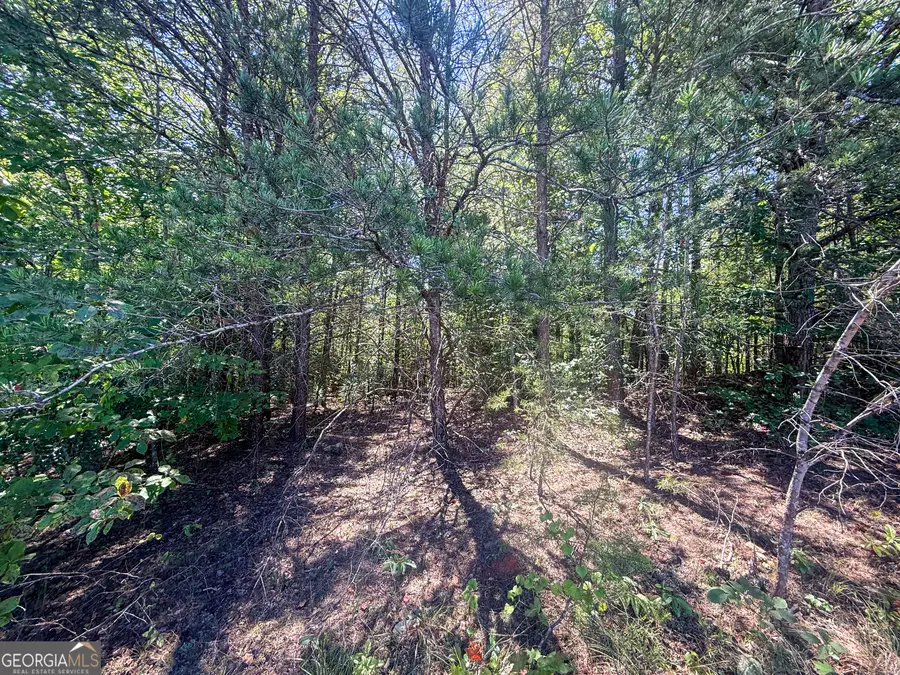 LOT 21 Sunshine Ridge Drive, Toccoa, GA 30577 - #2