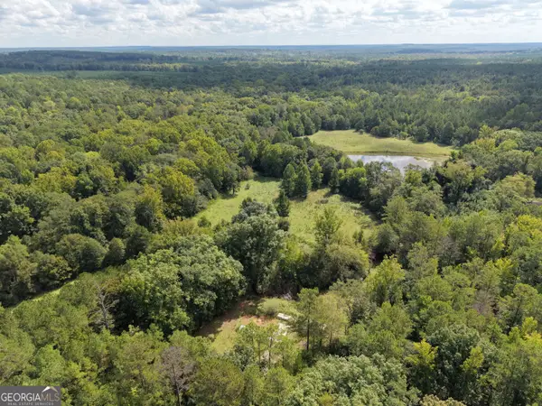 8117 Linton Rd, Sparta, GA 31087