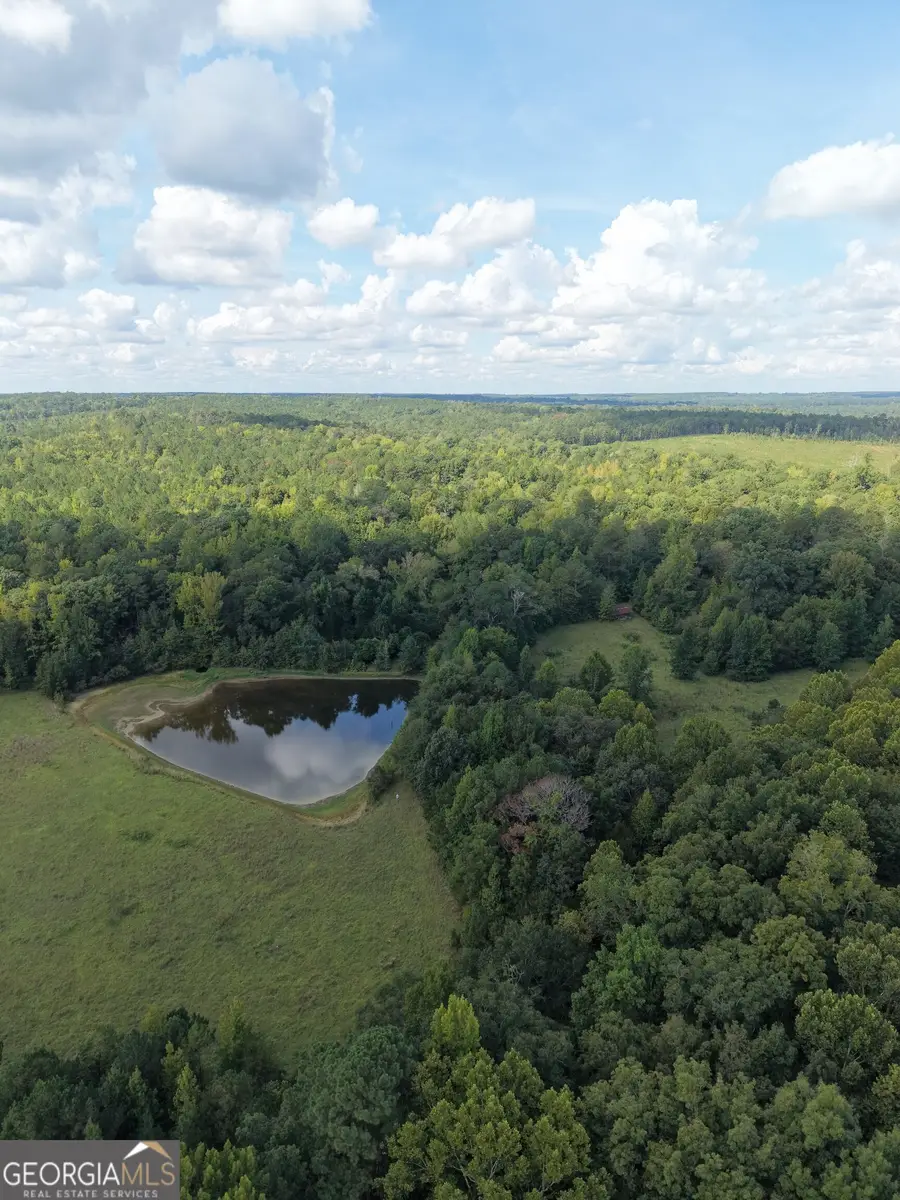 8117 Linton Rd, Sparta, GA 31087 - #3