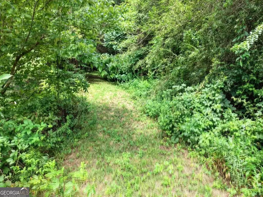 LOTS 1-8 Teaks Drive, Hayesville, NC 28904 - #2