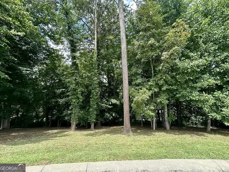 LOT 11 Bent Grass Circle, Hayesville, NC 28904 - #3