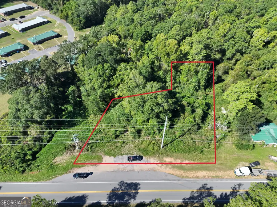 0 Highway 51 #LOT A, Clayton, AL 36016 - #2