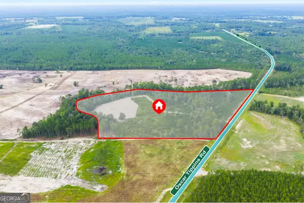 0 Oscar Tippins Road, Baxley, GA 31513